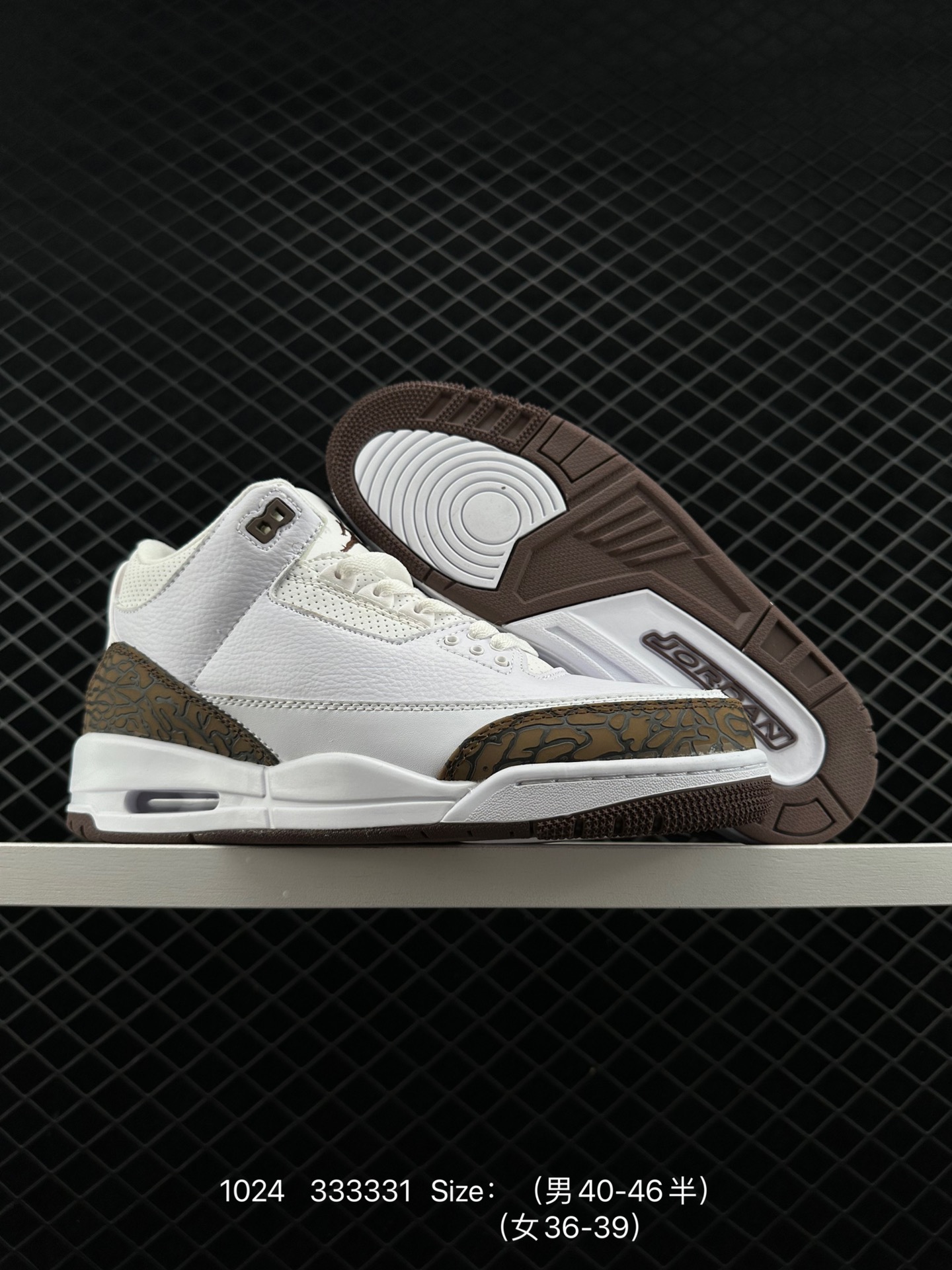 Nike Air Jordan 3 Retro SE